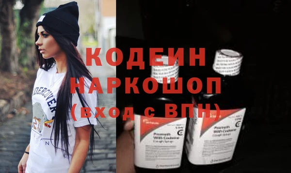 гидра Няндома