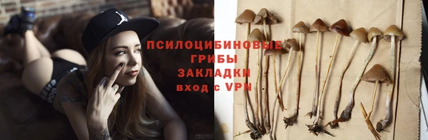 гидра Няндома