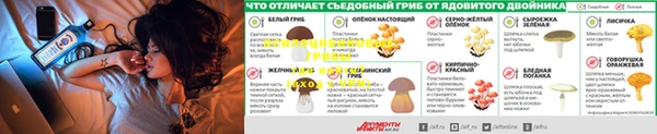 ECSTASY Новокубанск