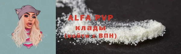 гидра Няндома