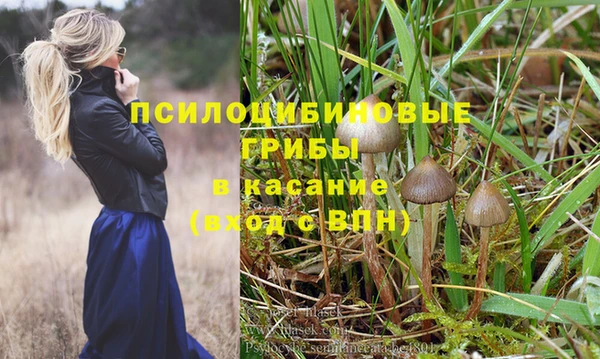 кокаин колумбия Новозыбков
