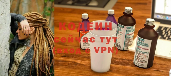 гидра Няндома
